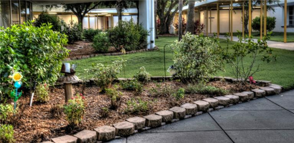 Courtyard Garden